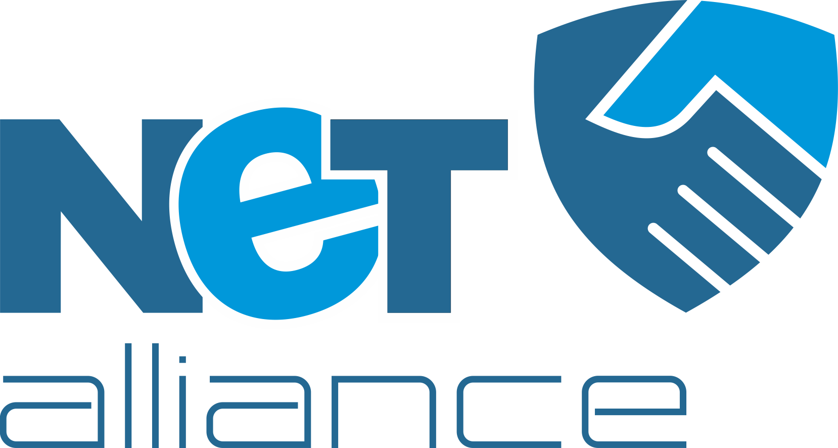 Netalliance Solutions Private Limited